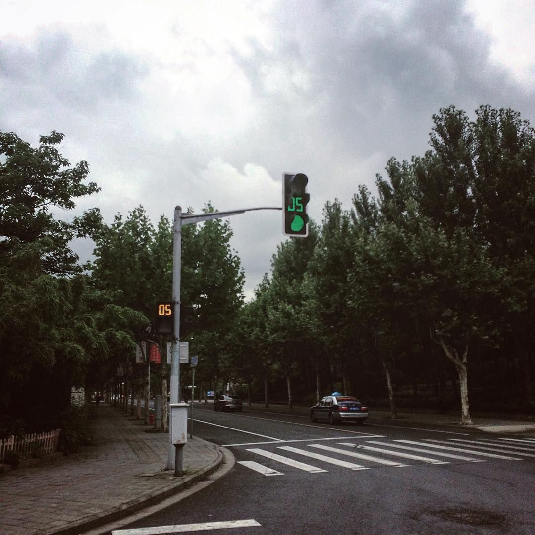 2015年7月拍摄于上海浦东张江