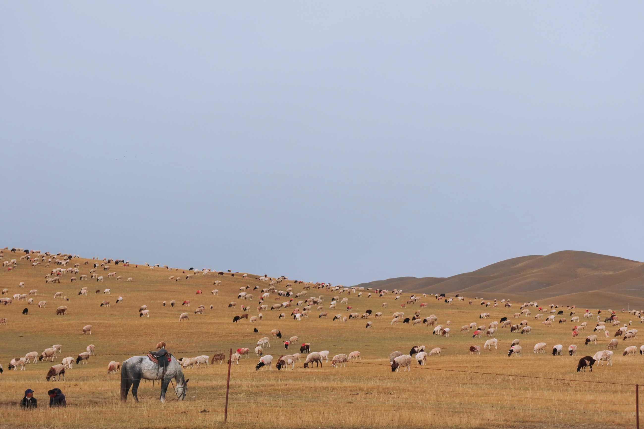 巴音布鲁克草原