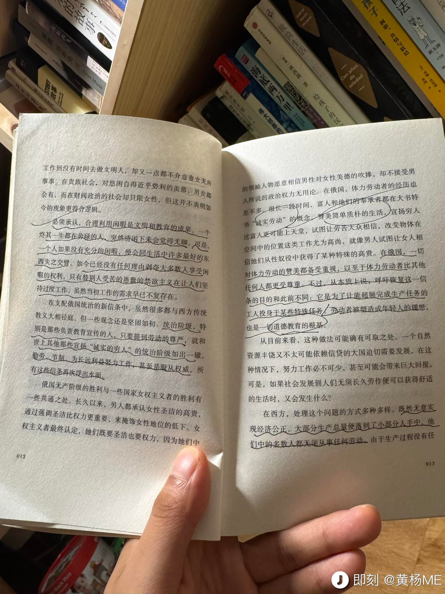 多抓鱼有划线或标注