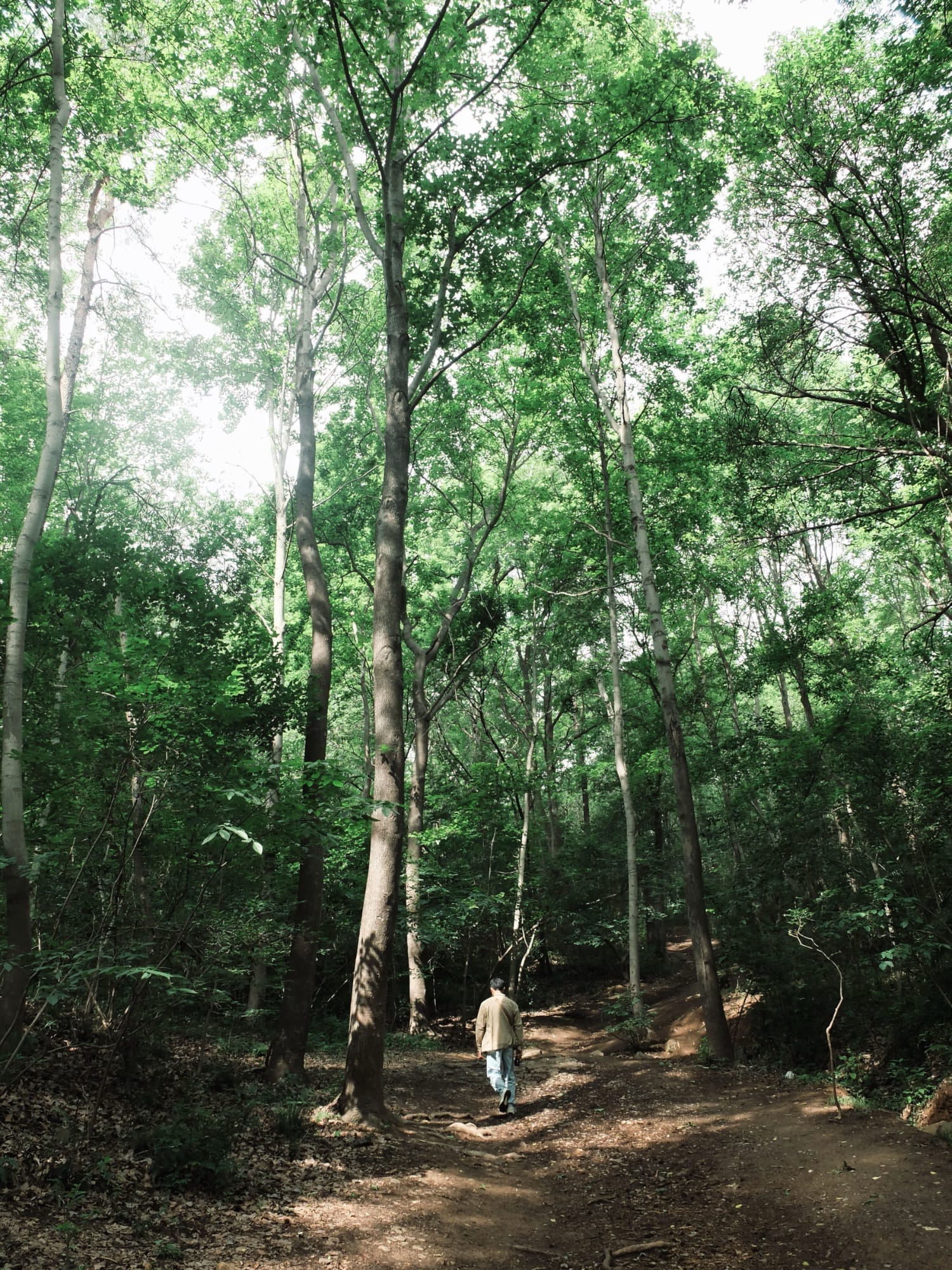 我的理想居住环境附近会有适合漫步的地方