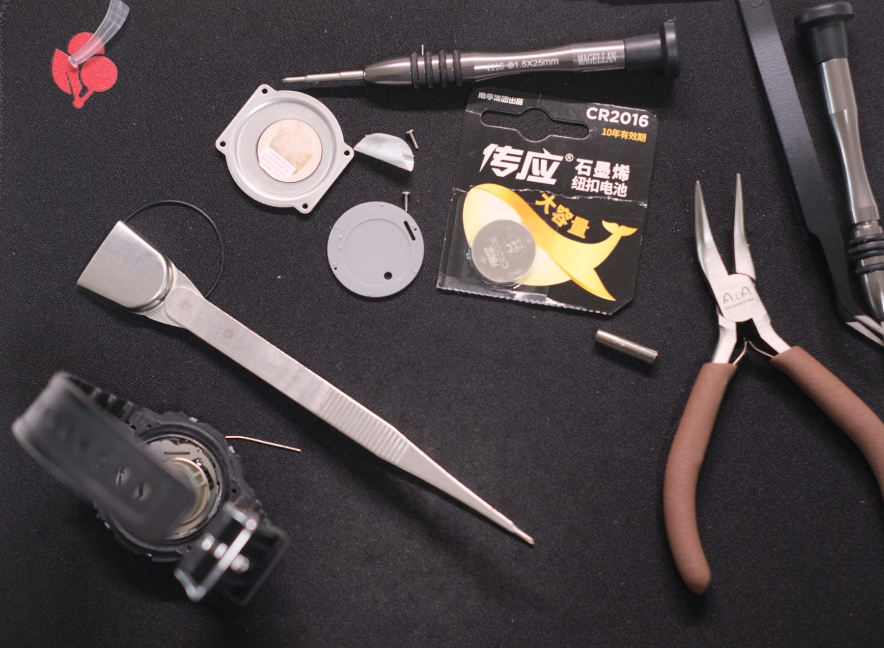 拍摄于2016年7月